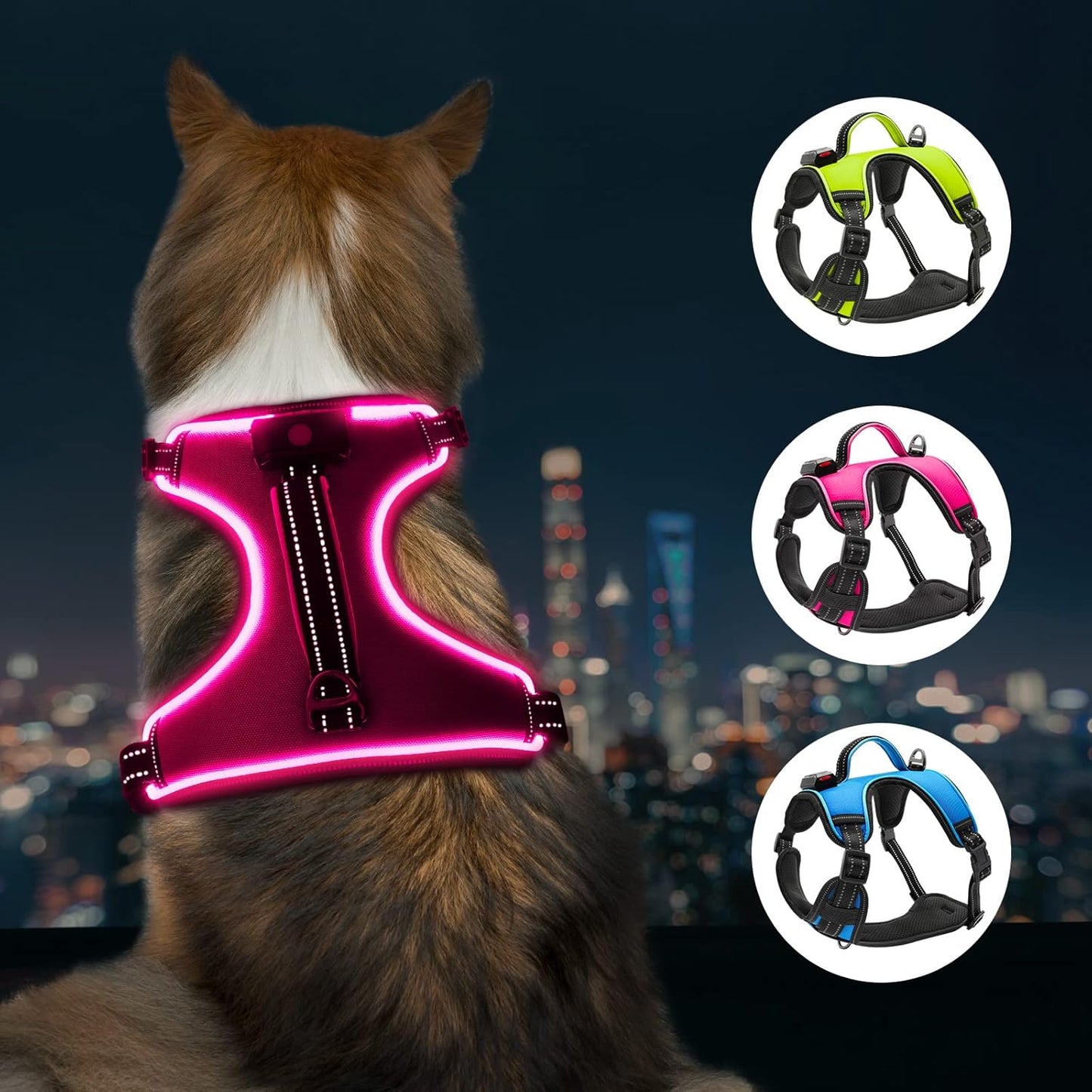 LED Dog Harness- Durable Light up Dog Harness, Reflective Dog Harness Light, Adjustable LED Dog Coat for Small, Medium and Large Dogs (X-Large, Pink) - Premium  from Ninez Designz - Just $18.85! Shop now at Ninez Designz