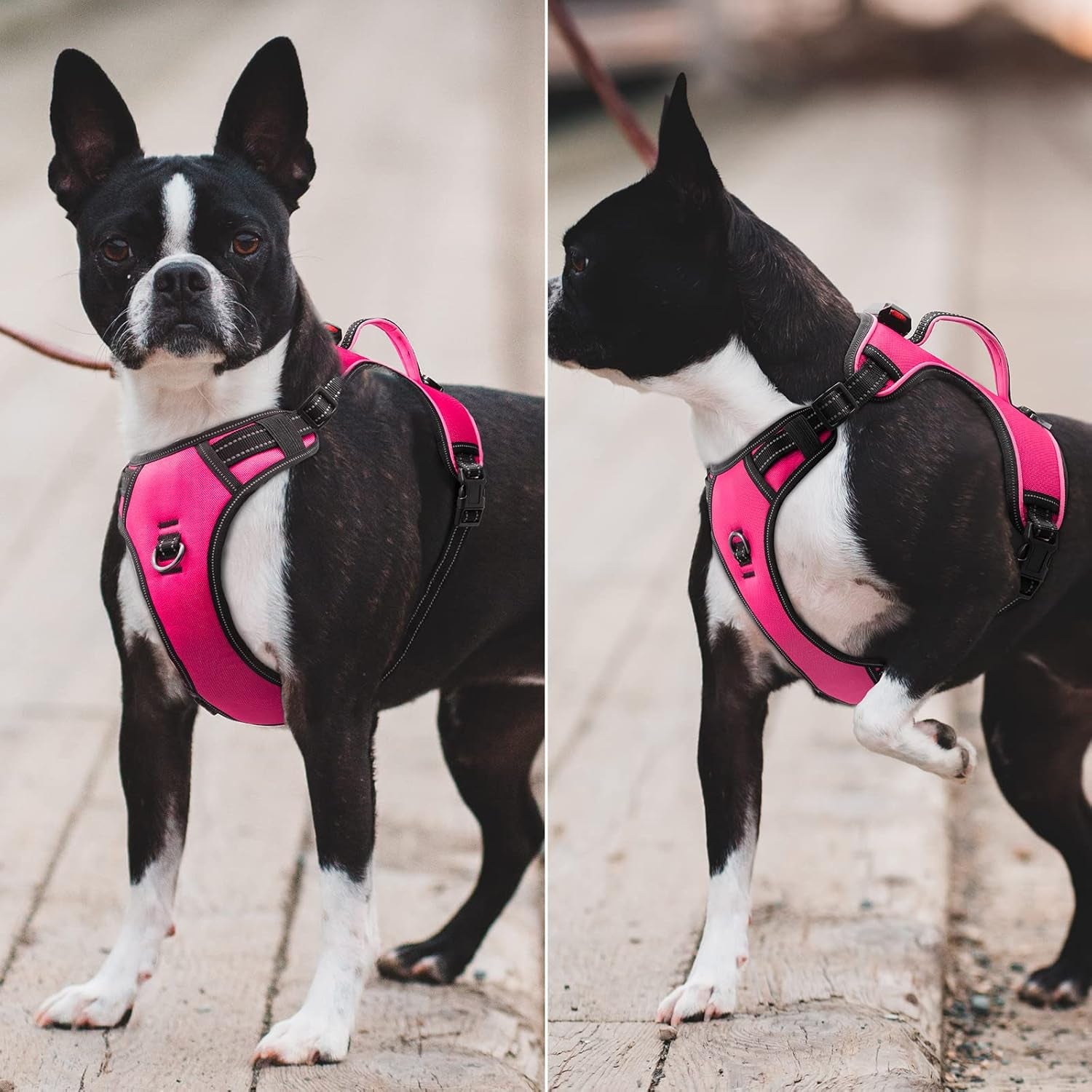 LED Dog Harness- Durable Light up Dog Harness, Reflective Dog Harness Light, Adjustable LED Dog Coat for Small, Medium and Large Dogs (X-Large, Pink) - Premium  from Ninez Designz - Just $18.85! Shop now at Ninez Designz