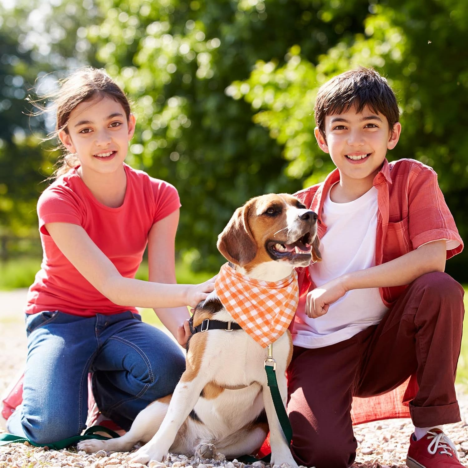 12 Piece Dog Bandanas Plaid Dog Scarf Pet Triangle Bibs Adjustable Accessories Bulk Kerchief Buffalo Plaid Bandanas Decor for Small or Medium Cat Dog Pet (Lattice Graphic) - Premium  from Ninez Designz - Just $25! Shop now at Ninez Designz